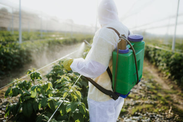 Best Mosquito Control Services  in Bonham, TX